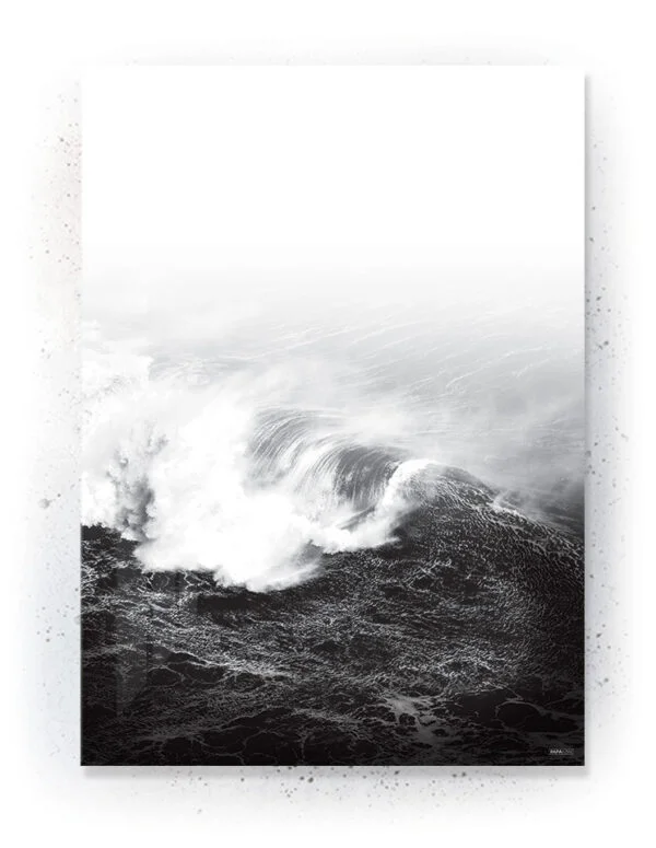 Plakat / lærredsprint - Flotte artworks i sort/hvid