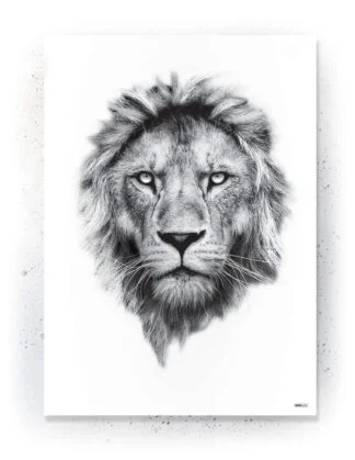 Animals - Plakat / lærredsprint - Flotte artworks i sort/hvid