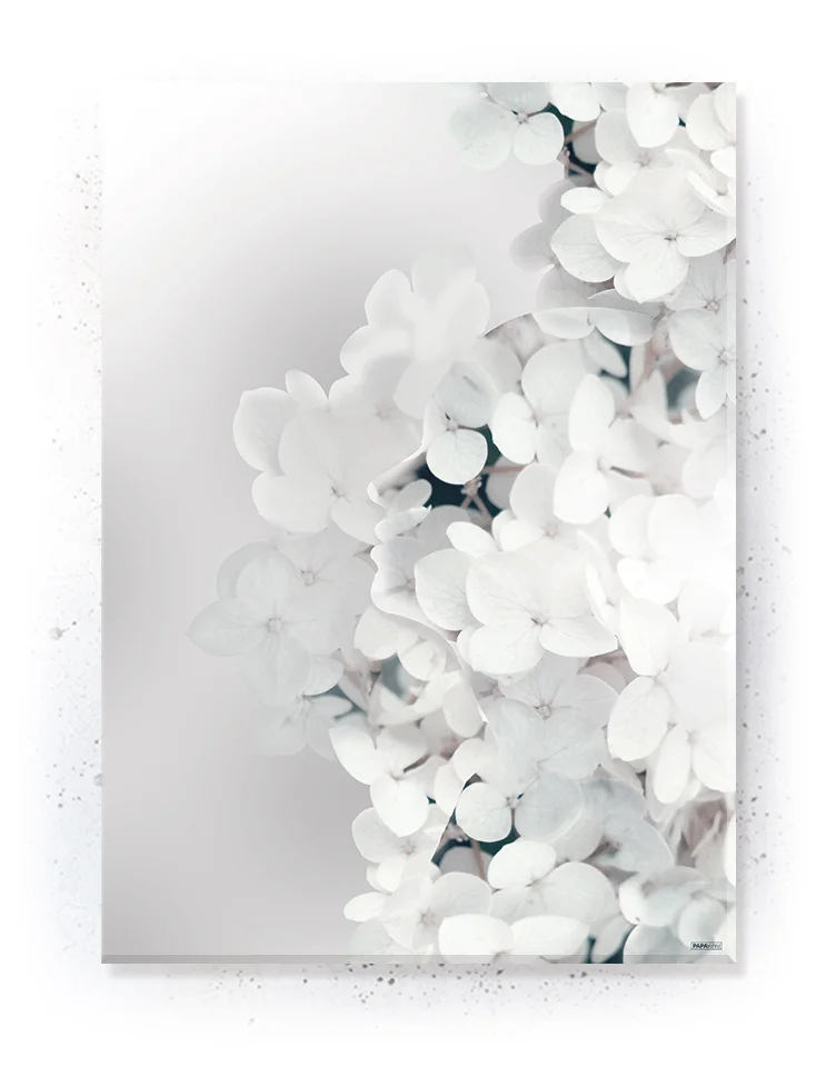 Plakat / lærredsprint - Smukke pasteller og naturlige farver