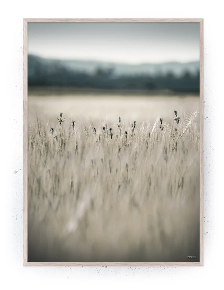 Plakat / lærredsprint - Nedtonede naturlige farver