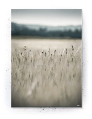 Plakat / lærredsprint - Nedtonede naturlige farver