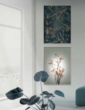 Plakatsæt / lærredsprint - Nedtonede naturlige farver