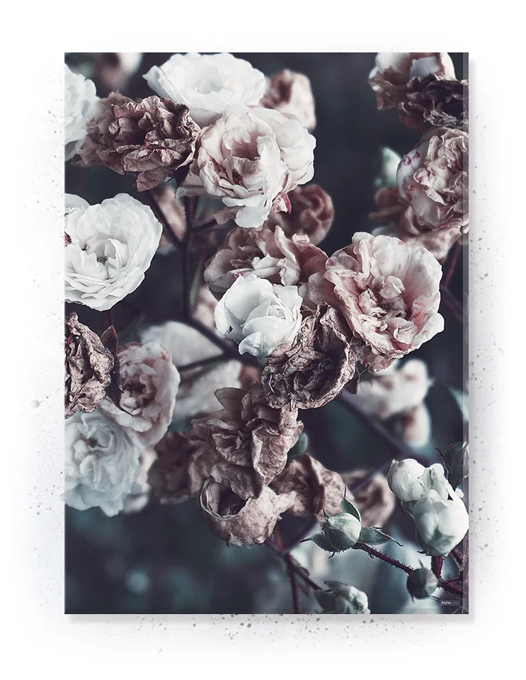 Plakat / lærredsprint - Smukke pasteller og naturlige farver