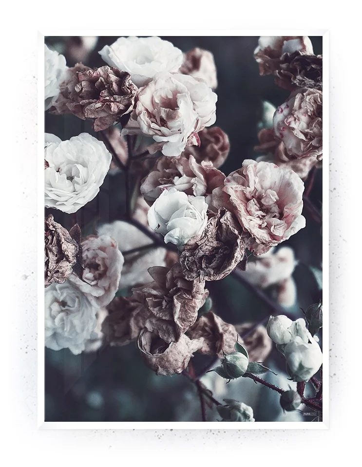 Plakat / lærredsprint - Smukke pasteller og naturlige farver