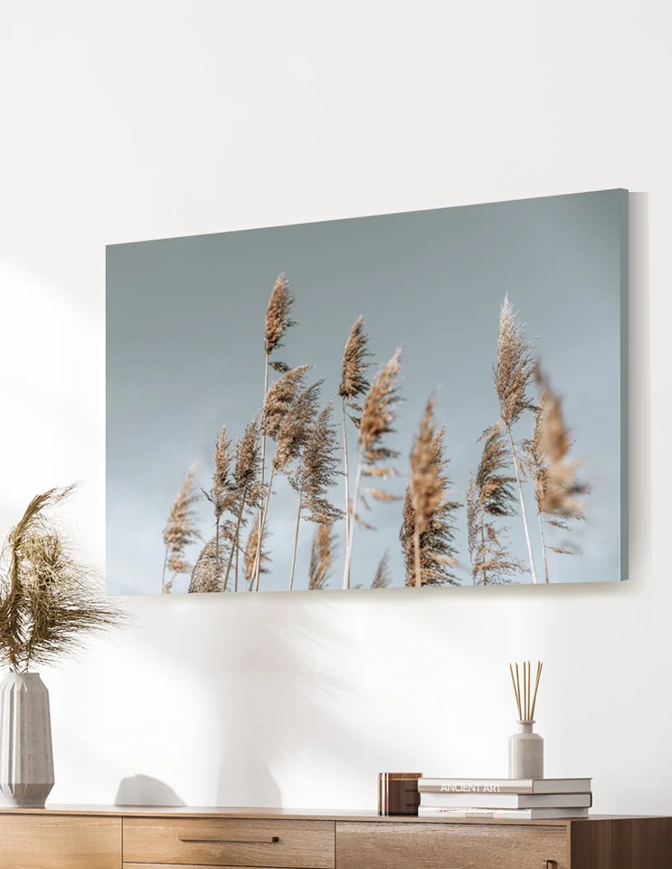 Storformat plakat / Lærredsprint med flotte naturmotiver