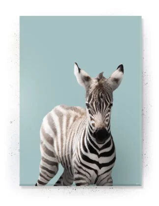 Plakat / Lærredsprint med søde dyremotiver