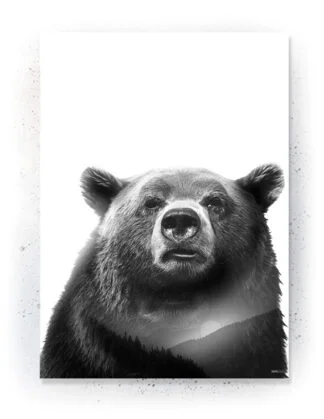 Animals - Plakat / lærredsprint - Flotte artworks i sort/hvid