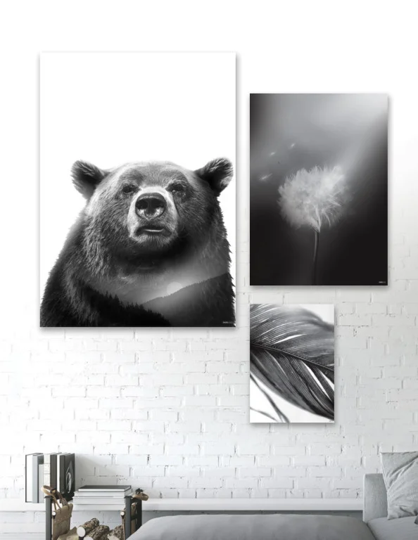 Animals - Plakatsæt / lærredsprint - Flotte artworks i sort/hvid