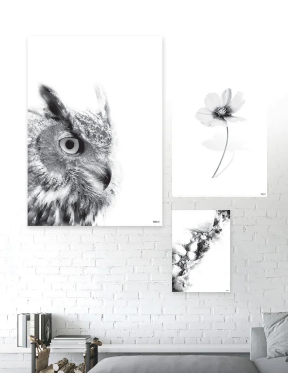 Animals - Plakatsæt / lærredsprint - Flotte artworks i sort/hvid