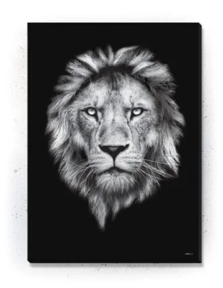 Animals - Plakat / lærredsprint - Flotte artworks i sort/hvid