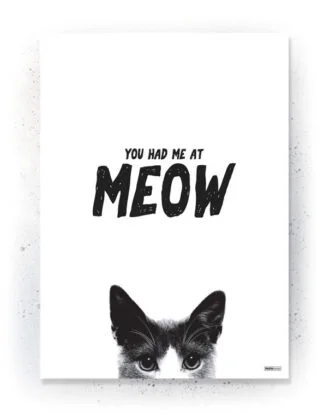 Animals - Plakat / lærredsprint - Flotte artworks i sort/hvid