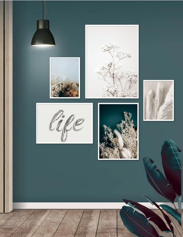 Plakatsat 5 plakat og lærredsprint