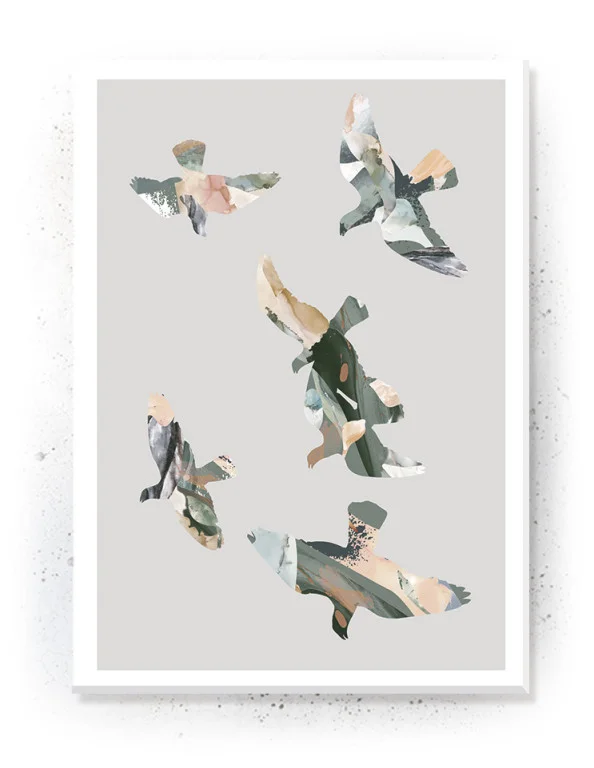 Birds plakat og lærredsprint