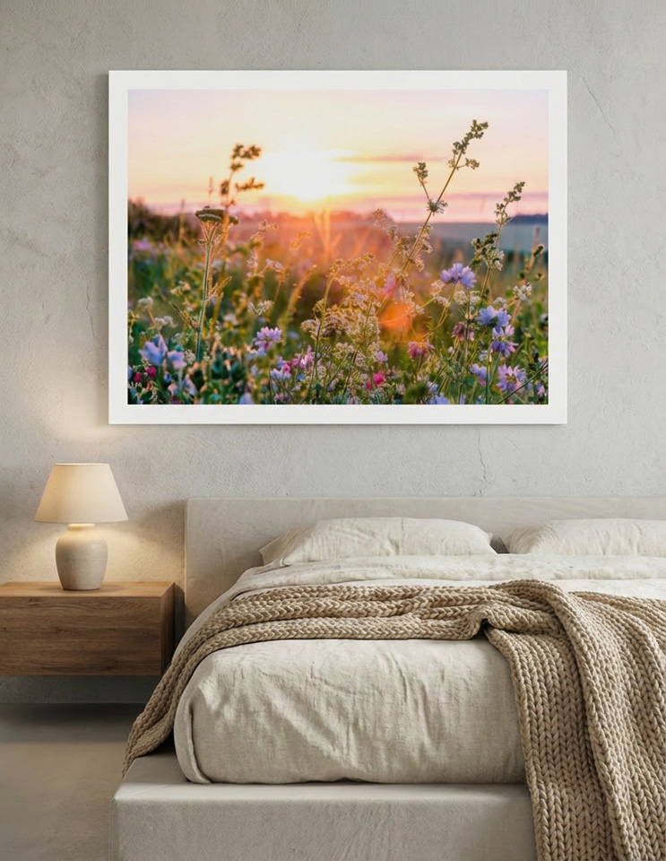 Summer colorful flowers