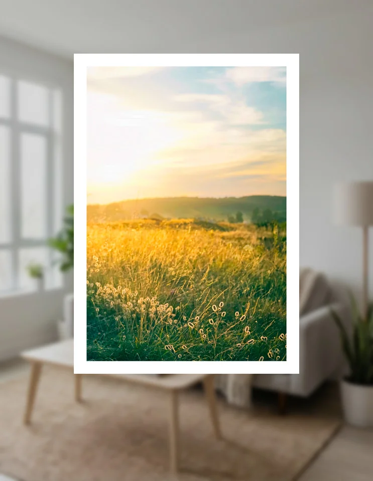 Summer field noon